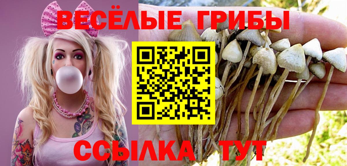 Галлюциногенные грибы MAGIC MUSHROOMS  Галлюциногенные грибы GOLDEN TEACHER  Славянск-на-Кубани  Вход с VPN 