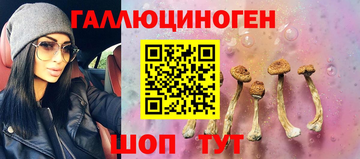 Галлюциногенные грибы мицелий Славянск-на-Кубани
